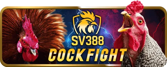 Ưu đãi đặc biệt cho từng sảnh game như thể thao, casino, nổ hũ và bắn cá tại 56wun